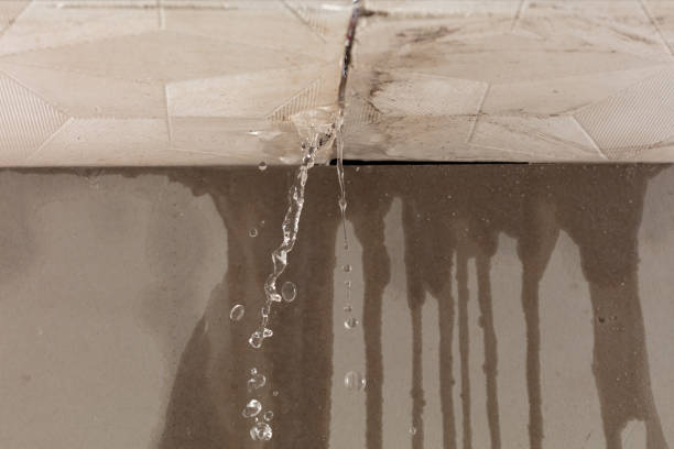 Professional Sewage Cleanup technician working in Ten Mile, TN
